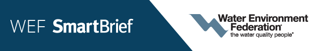 WEF_2019_dedicated_sends_650x105.gif